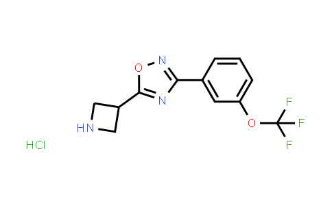 CAS No. 1351584-79-6, 5-Azetidin-3-yl-3-[3-(trifluoromethoxy)phenyl]-1,2,4-oxadiazole hydrochloride