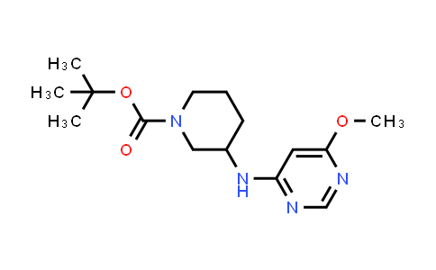 CAS No. 1353955-36-8, 3-(6-Methoxy-pyrimidin-4-ylamino)-piperidine-1-carboxylic acid tert-butyl ester