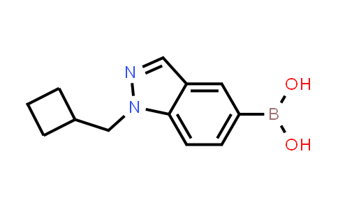 CAS No. 1357918-08-1, [1-(Cyclobutylmethyl)-1H-indazol-5-yl]boronic acid