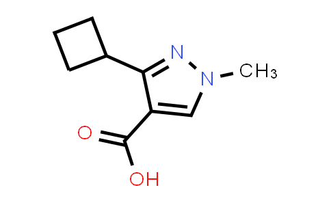 CAS No. 137614-13-2, 3-Cyclobutyl-1-methyl-1H-pyrazole-4-carboxylic acid