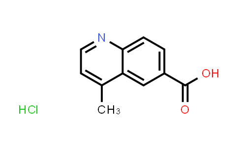 CAS No. 1448064-90-1, 4-Methylquinoline-6-carboxylic acid hydrochloride