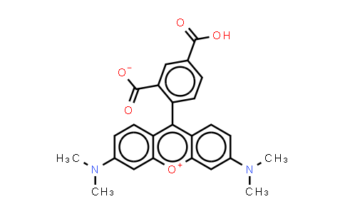 CAS No. 150322-05-7, 5-Carboxytetramethylrhodamine