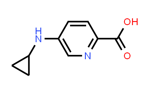 CAS No. 1541596-27-3, 2-Pyridinecarboxylic acid, 5-(cyclopropylamino)-