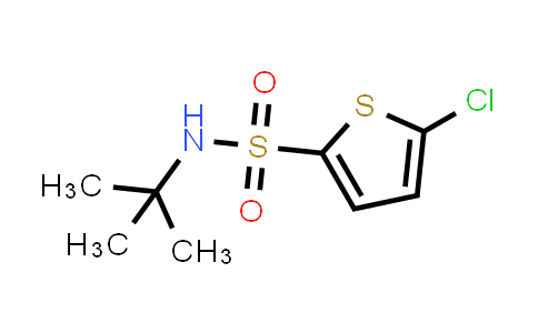 CAS No. 155731-14-9, 5-Chlorothiophene-2-sulfonic acid tert-butylamide