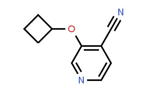 CAS No. 158021-09-1, 3-Cyclobutoxyisonicotinonitrile