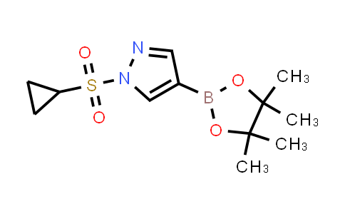 CAS No. 1612172-62-9, 1-(Cyclopropanesulfonyl)-4-(tetramethyl-1,3,2-dioxaborolan-2-yl)-1H-pyrazole