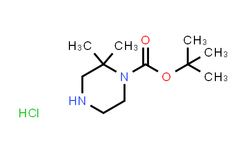 CAS No. 1624260-26-9, tert-Butyl 2,2-dimethylpiperazine-1-carboxylate hydrochloride