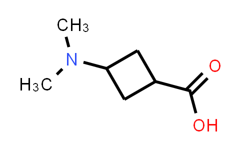CAS No. 1628252-12-9, 3-(Dimethylamino)cyclobutane-1-carboxylic acid