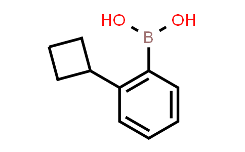 CAS No. 1629184-01-5, B-(2-Cyclobutylphenyl)boronic acid
