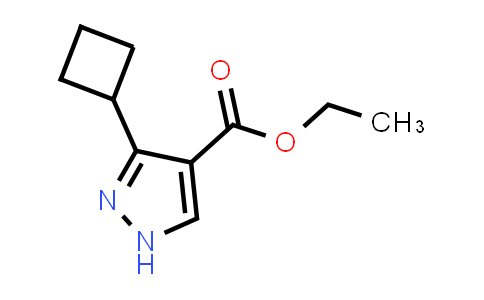 CAS No. 1638983-34-2, Ethyl 3-cyclobutyl-1H-pyrazole-4-carboxylate