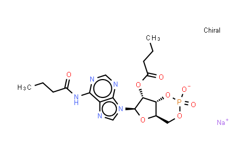 CAS No. 16980-89-5, Bucladesine (sodium)