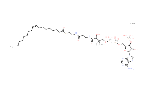 MC531294 | 1716-06-9 | Oleyl-CoA