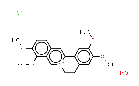 CAS No. 171869-95-7, Palmatine (chloride hydrate)