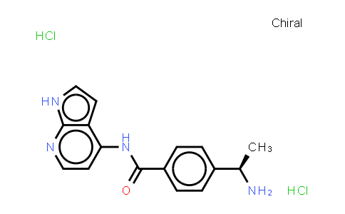 CAS No. 173897-44-4, Y-33075 (dihydrochloride)