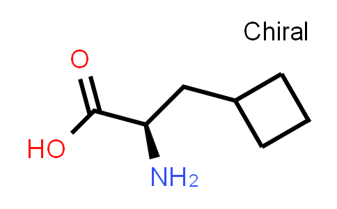 CAS No. 174266-00-3, (R)-2-amino-3-cyclobutylpropanoic acid
