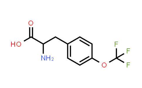 MC531798 | 174732-57-1 | 2-Amino-3-(4-(trifluoromethoxy)phenyl)propanoic acid