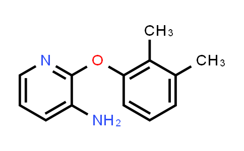 CAS No. 175136-23-9, 2-(2,3-Dimethylphenoxy)pyridin-3-amine