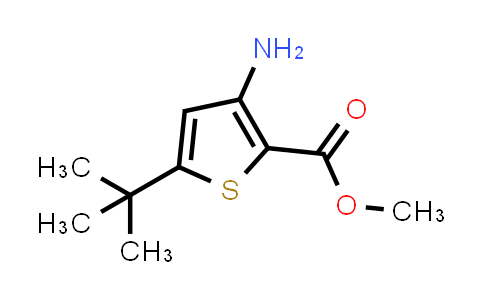 CAS No. 175137-03-8, Methyl 3-amino-5-tert-butylthiophene-2-carboxylate
