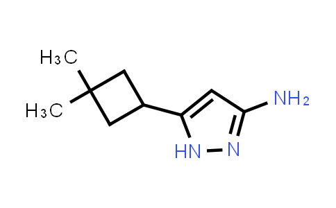 CAS No. 1853338-91-6, 5-(3,3-Dimethylcyclobutyl)-1H-pyrazol-3-amine