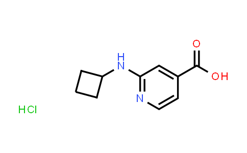CAS No. 1909313-13-8, 2-(Cyclobutylamino)isonicotinic acid hydrochloride