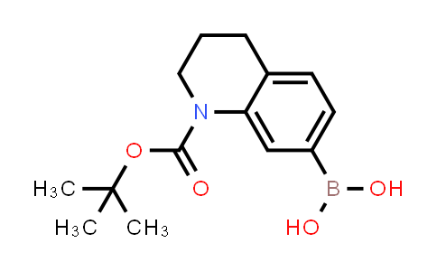 CAS No. 1926137-46-3, (1-(tert-Butoxycarbonyl)-1,2,3,4-tetrahydroquinolin-7-yl)boronic acid