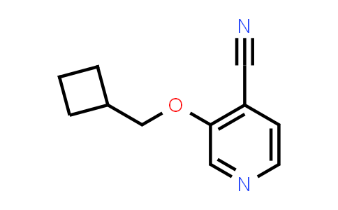 MC536198 | 1934936-84-1 | 3-(Cyclobutylmethoxy)isonicotinonitrile