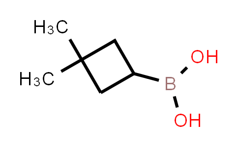 CAS No. 1950574-55-6, (3,3-Dimethylcyclobutyl)boronic acid