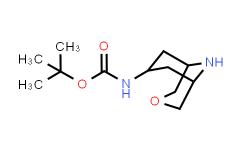 198211-13-1 | tert-Butyl 3-oxa-9-azabicyclo[3.3.1]nonan-7-ylcarbamate