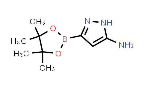 CAS No. 2020091-14-7, 3-(4,4,5,5-Tetramethyl-1,3,2-dioxaborolan-2-yl)-1H-pyrazol-5-amine