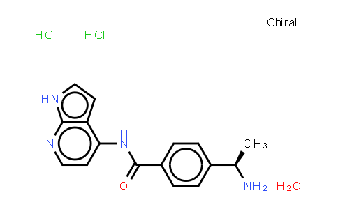 CAS No. 203911-26-6, Y-33075 (dihydrochloride hydrate)