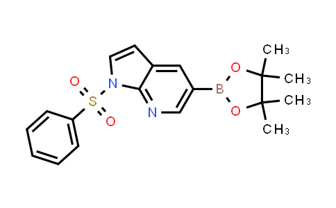 CAS No. 2058052-40-5, 1-(Phenylsulfonyl)-5-(4,4,5,5-tetramethyl-1,3,2-dioxaborolan-2-yl)-1H-pyrrolo[2,3-b]pyridine