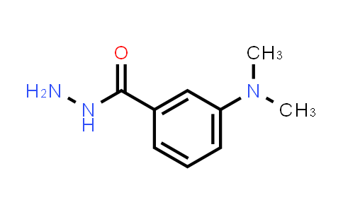 CAS No. 205927-64-6, 3-(Dimethylamino)benzhydrazide