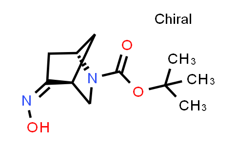 CAS No. 207405-61-6, (1S,4S,Z)-tert-butyl 5-(hydroxyimino)-2-azabicyclo[2.2.1]heptane-2-carboxylate
