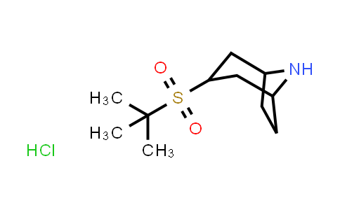 CAS No. 2097896-99-4, 3-(2-Methylpropane-2-sulfonyl)-8-azabicyclo[3.2.1]octane hydrochloride