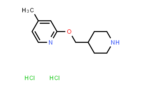 CAS No. 2097936-29-1, 4-Methyl-2-[(piperidin-4-yl)methoxy]pyridine dihydrochloride