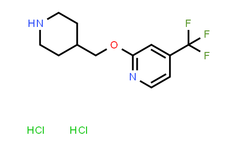 CAS No. 2097937-49-8, 2-[(Piperidin-4-yl)methoxy]-4-(trifluoromethyl)pyridine dihydrochloride