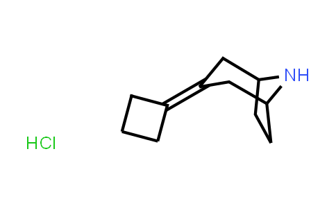 MC539589 | 2098090-78-7 | 3-Cyclobutylidene-8-azabicyclo[3.2.1]octane hydrochloride
