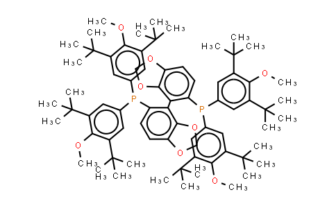 210169-40-7 | (S)-(+)-5,5-双[二(3,5-二叔丁基-4-甲氧)膦基]-4,4-双-1,3-氧杂环戊二烯