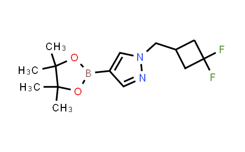 2101934-11-4 | 1-[(3,3-Difluorocyclobutyl)methyl]-4-(tetramethyl-1,3,2-dioxaborolan-2-yl)-1H-pyrazole