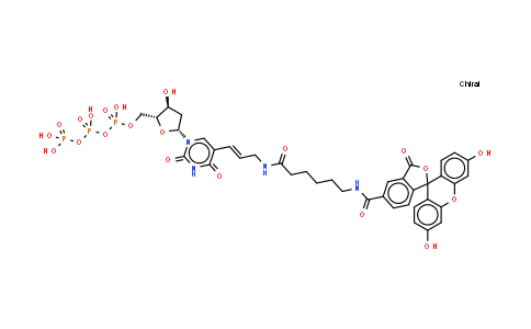 214154-36-6 | Fluorescein-12-dUTP