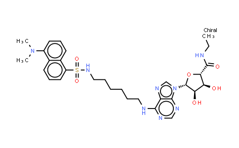 DY541511 | 219982-12-4 | 1-脱氧-1-[6-[[6-[[[5-(二甲氨基)-1-萘基]磺酰基]氨基]己基]氨基]-9H-嘌呤-9-基]-N-乙基-β-D-ribofuranuronamide
