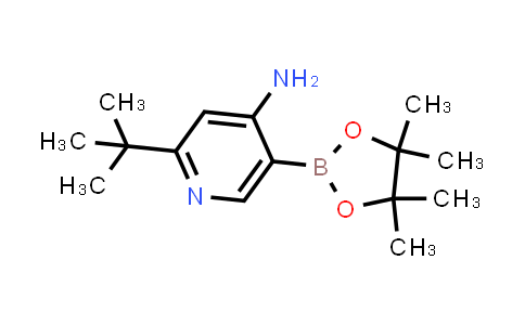 CAS No. 2223027-21-0, 2-(tert-Butyl)-5-(4,4,5,5-tetramethyl-1,3,2-dioxaborolan-2-yl)pyridin-4-amine