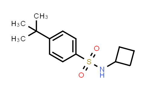 CAS No. 2326142-47-4, 4-(tert-Butyl)-N-cyclobutylbenzenesulfonamide