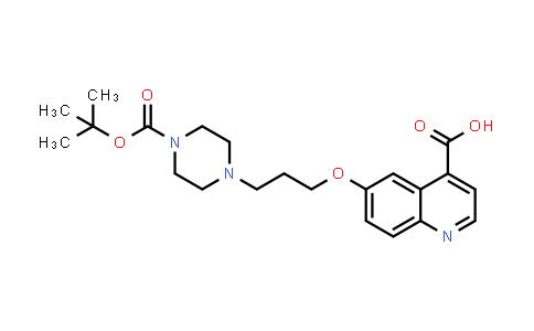 CAS No. 2370952-96-6, 6-(3-(4-(tert-Butoxycarbonyl)piperazin-1-yl)propoxy)quinoline-4-carboxylic acid