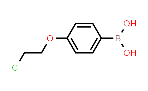 CAS No. 252044-23-8, (4-(2-Chloroethoxy)phenyl)boronic acid