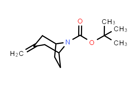 CAS No. 273207-57-1, 3-Methylene-8-Boc-8-azabicyclo[3.2.1]octane