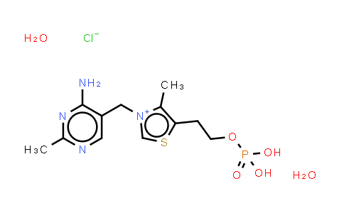 CAS No. 273724-21-3, Thiamine monophosphate (chloride) (dihydrate)
