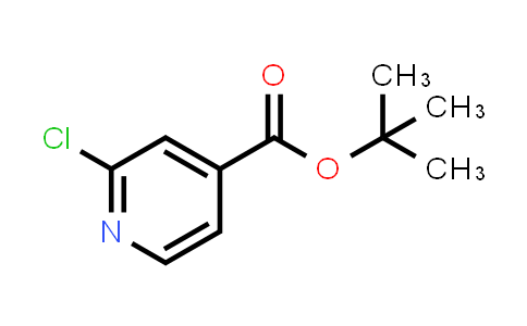 CAS No. 295349-62-1, tert-Butyl 2-chloroisonicotinate