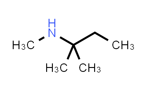 2978-64-5 | N,2-Dimethylbutan-2-amine
