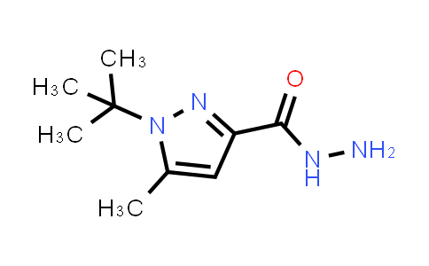 CAS No. 306937-23-5, 1-(tert-Butyl)-5-methyl-1H-pyrazole-3-carbohydrazide